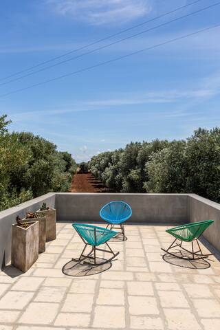 Lamia dal blu, design villa in the olive grove gallery image 2