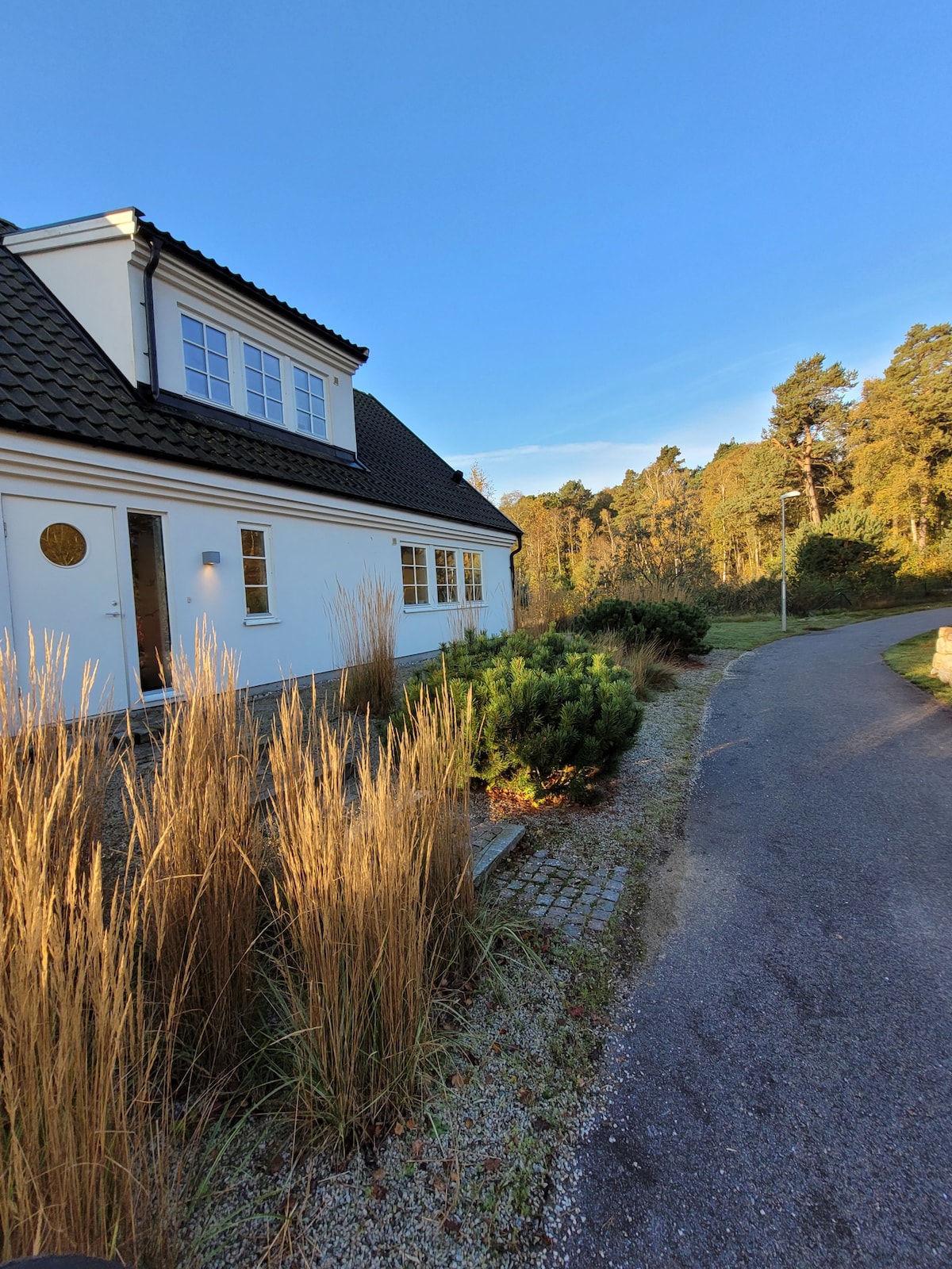 A modern villa is depicted on a sunny day, surrounded by greenery. Tall golden grasses line the pathway leading to the entrance, with trees in the background. The entrance features a clear view of the well-defined architectural lines and large windows that invite natural light.