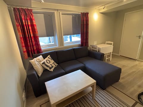 Successful Airbnb property: Bright apartment in a detached house in Midtbyen