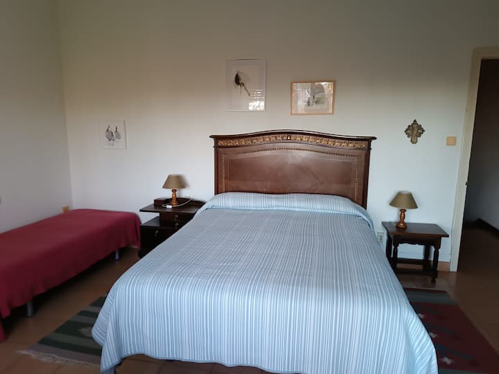 Velika spavaća soba s krevetom baštine i jednim  krevetom od 80 osoba za djecu. S vratima koja komuniciraju s kupaonicom s WC-om 3.