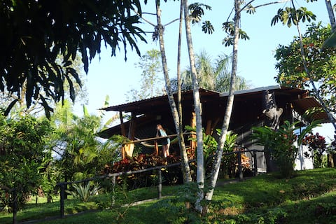 Rainforest Sanctuary - Cabin by a River
