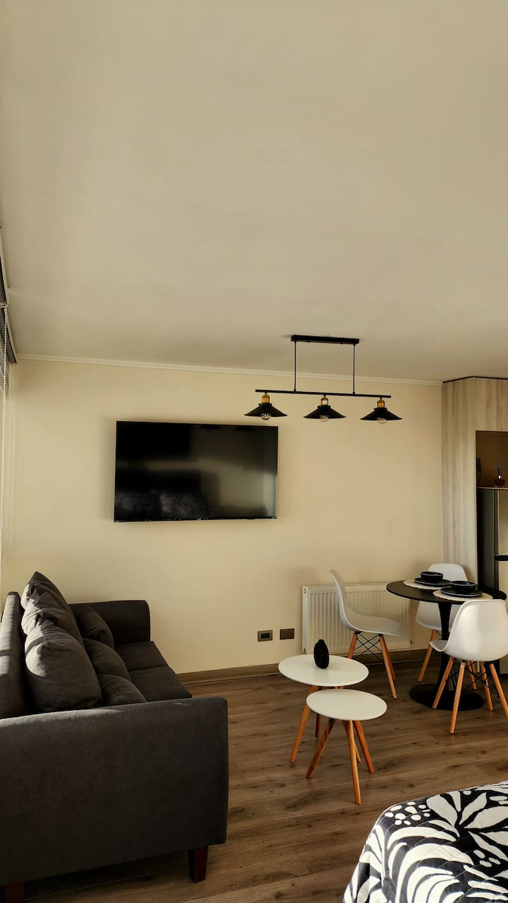 Relájate Con Estilo, Piscina, Wifi - Concepción, Chile