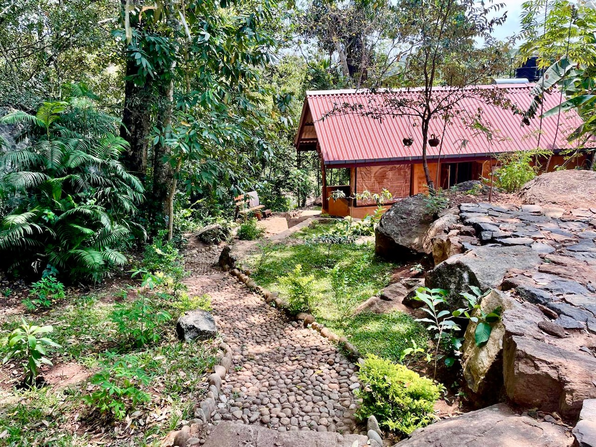 The charming house, built with natural materials, features a sloped red roof and is surrounded by lush greenery. A stone pathway leads to the entrance, bordered by rocks and plants. Sunlight filters through the trees, illuminating the serene outdoor space.