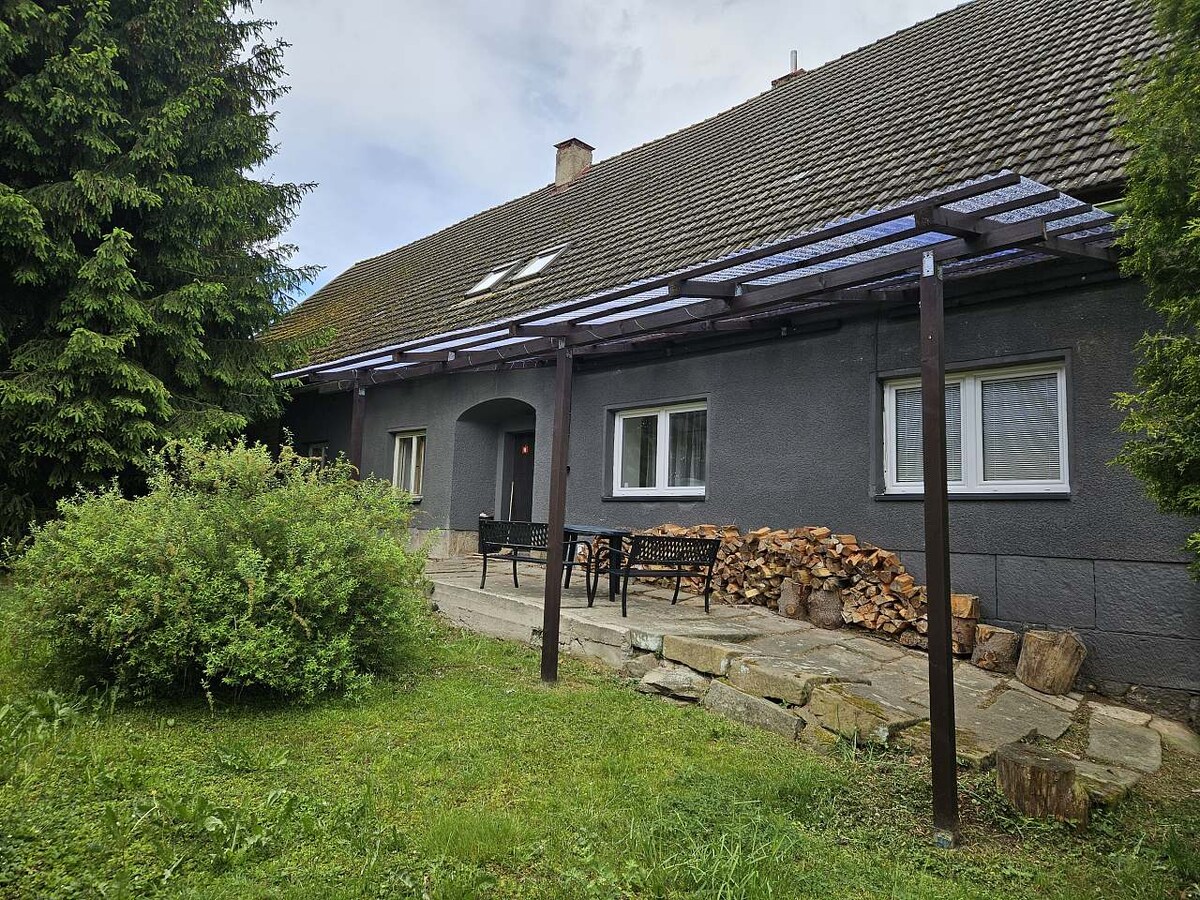 The exterior of the house features a covered patio area with seating arranged around a stone floor. A pile of firewood is stacked against the wall, surrounded by grass and shrubs that provide a natural setting.