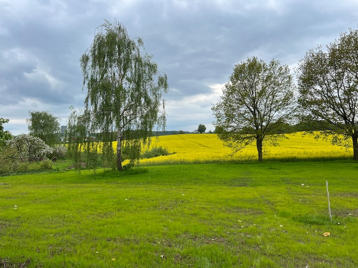 Eichenhaus Auf Gut Güldenstein 7 Pers. Kaminofen - Oldenburg in Holstein