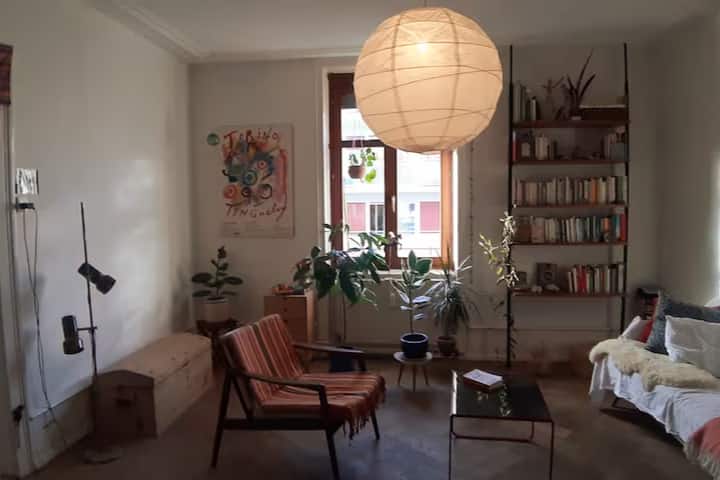 Altbau Mit Südlichem Flair - Basel