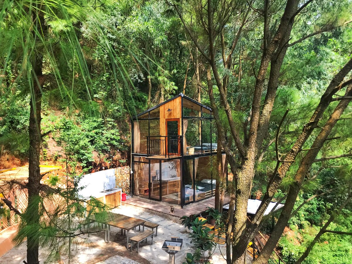 A modern wooden house is situated amidst lush greenery, surrounded by tall trees. Large glass walls provide a view of the serene forest, and outdoor seating areas are positioned on a stone patio, blending with the natural environment.
