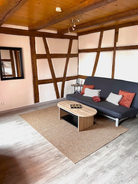 Top performing Airbnb: Le Rustique – Alsatian charm in Turckheim