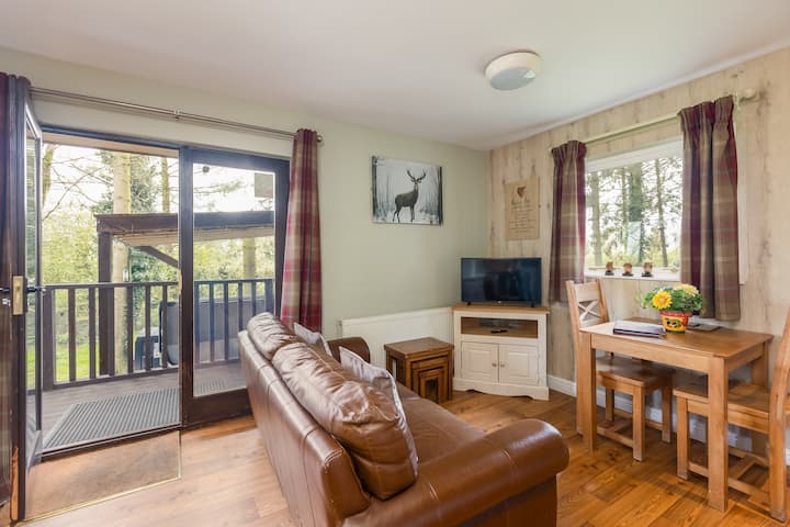 Hot Tub Studio Lodge. - Yorkshire