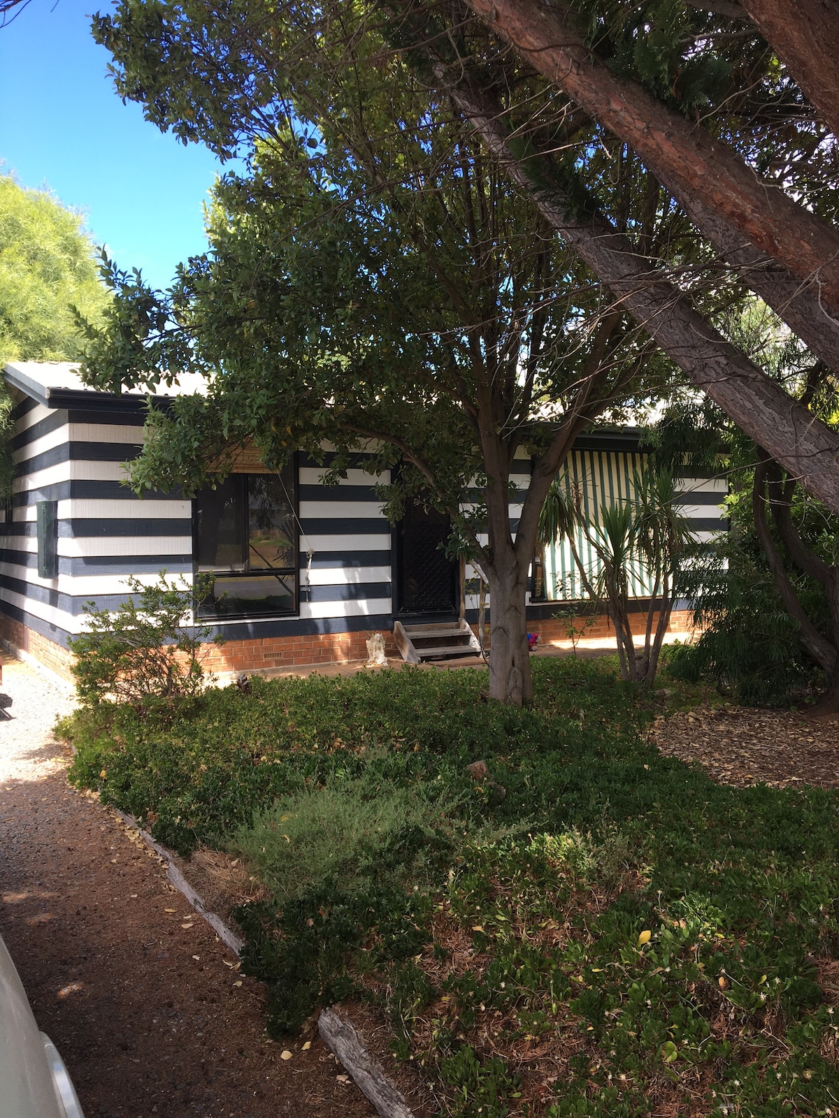 Propriété Airbnb réussie: The Salty Dog Beach Shack à Middleton