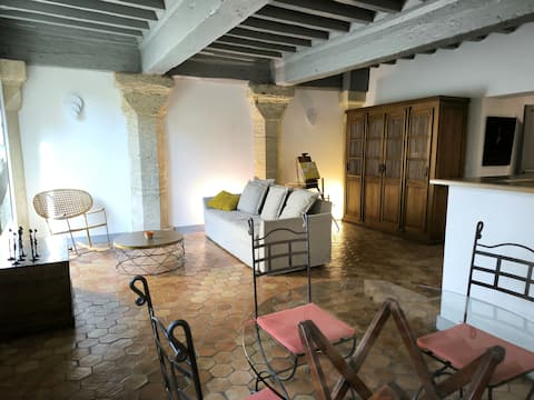 Popular Airbnb listing: 2-bedroom apartment in historic center, garden, air conditioning in Avignon