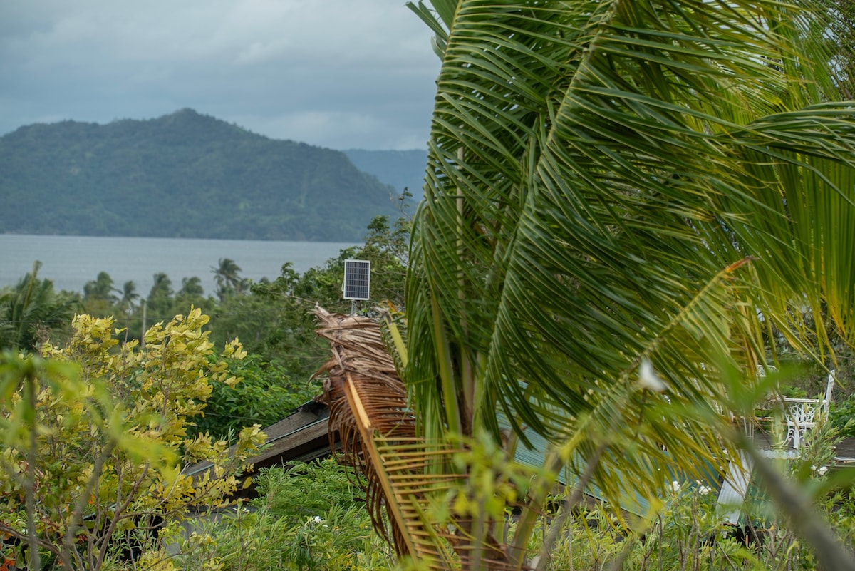Lush greenery surrounds the image, with palm fronds gently swaying in the breeze. A solar panel is positioned on a rooftop, while the expansive Taal Lake and mountainous backdrop are visible in the distance, under a cloudy sky.
