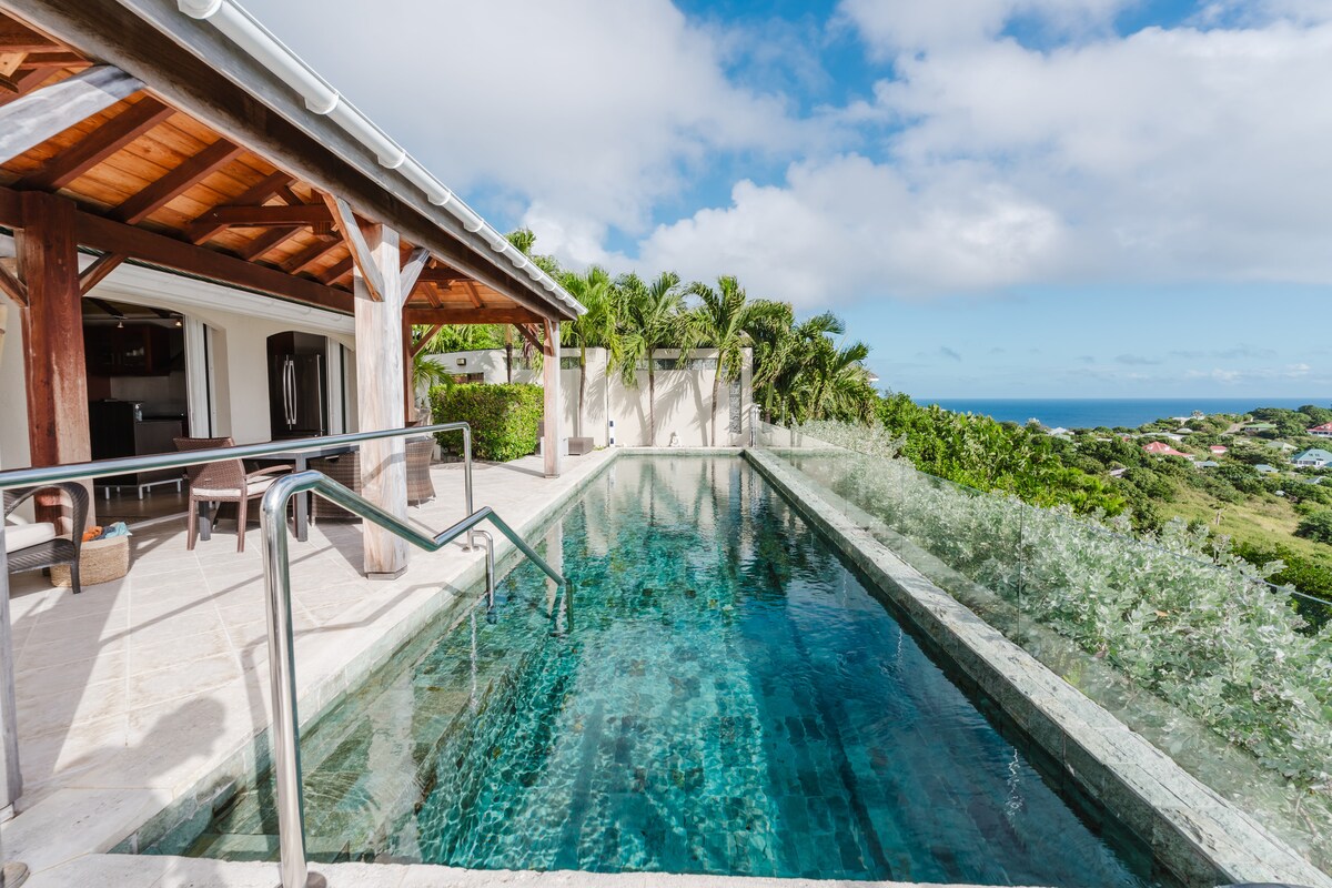 An infinity pool with tranquil water reflects the surrounding greenery and blue sky. The pool area is framed by a wooden structure and a terrace that offers views of the distant coastline. Lush palm trees line the background, enhancing the serene setting.