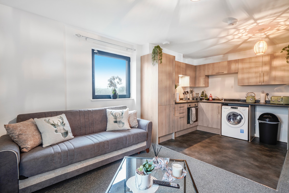 A modern living area features a comfortable gray sofa adorned with decorative cushions. A glass coffee table sits in front, accompanied by an array of magazines. The open kitchen boasts sleek cabinetry, appliances, and a washing machine, with a window allowing natural light to fill the space.