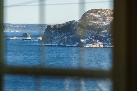 Brigus Ocean View