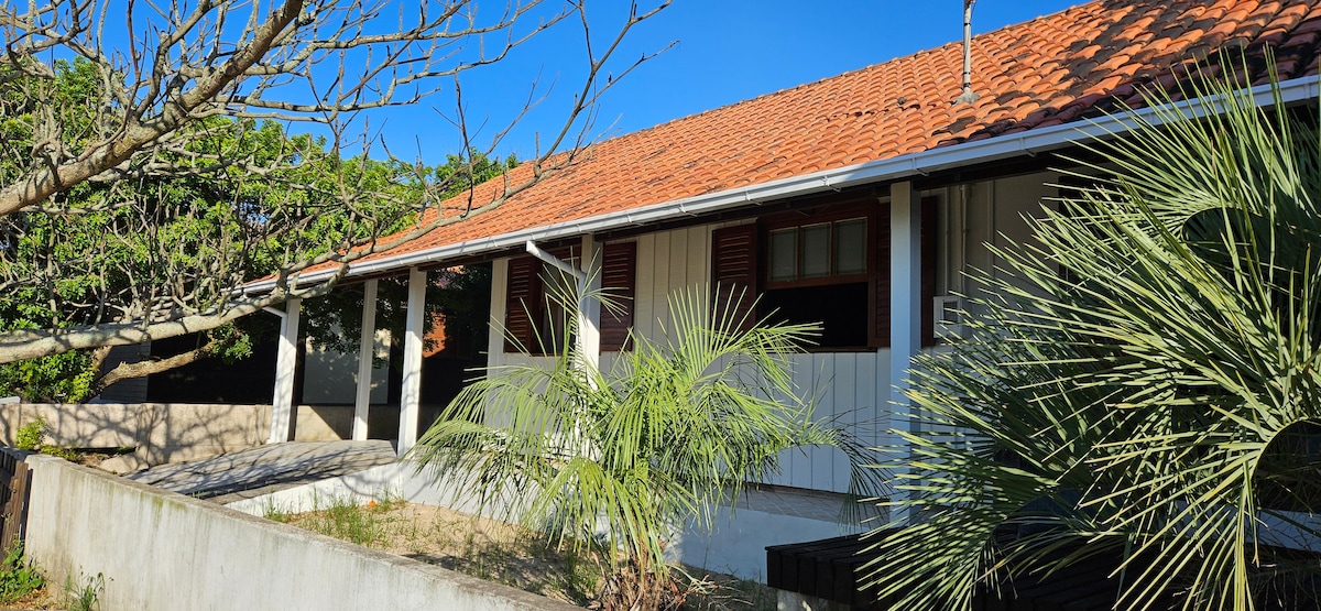 A charming house exterior is depicted, featuring a sloped terracotta roof and shuttered windows. Lush greenery surrounds the structure, including a palm on the right and bare branches to the left, creating a natural setting against a clear blue sky.