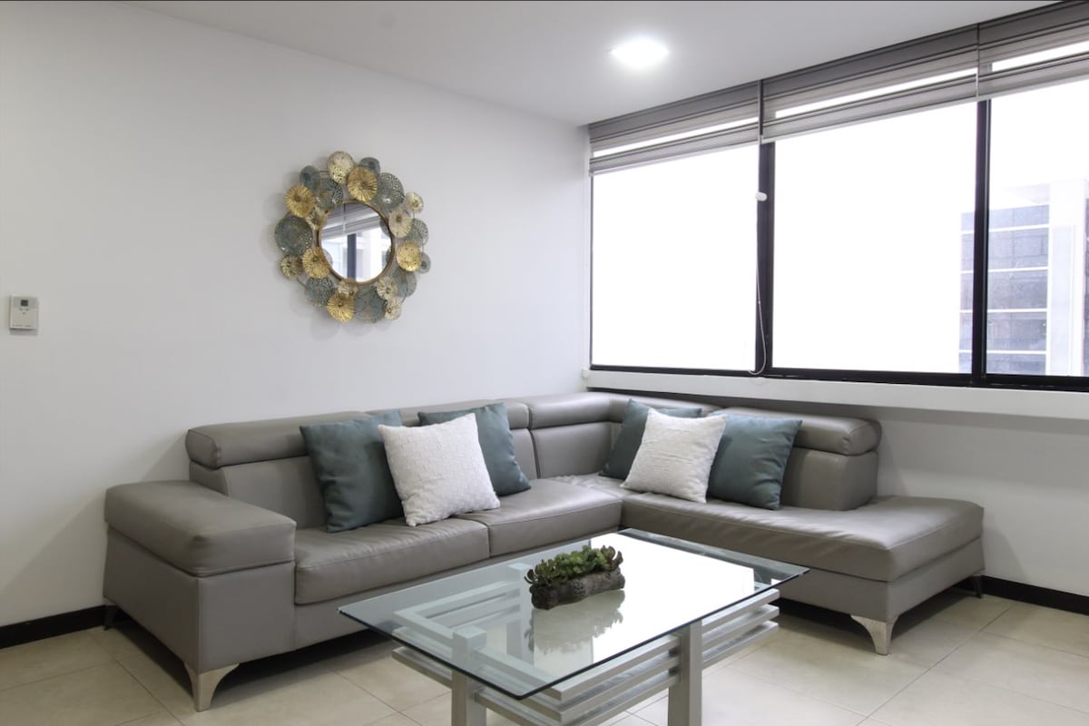 A modern living room features a sleek gray sofa adorned with light blue and white cushions. A glass coffee table is centered in front of the sofa, showcasing a small decorative plant. Natural light fills the space through two large windows adorned with minimalistic blinds.