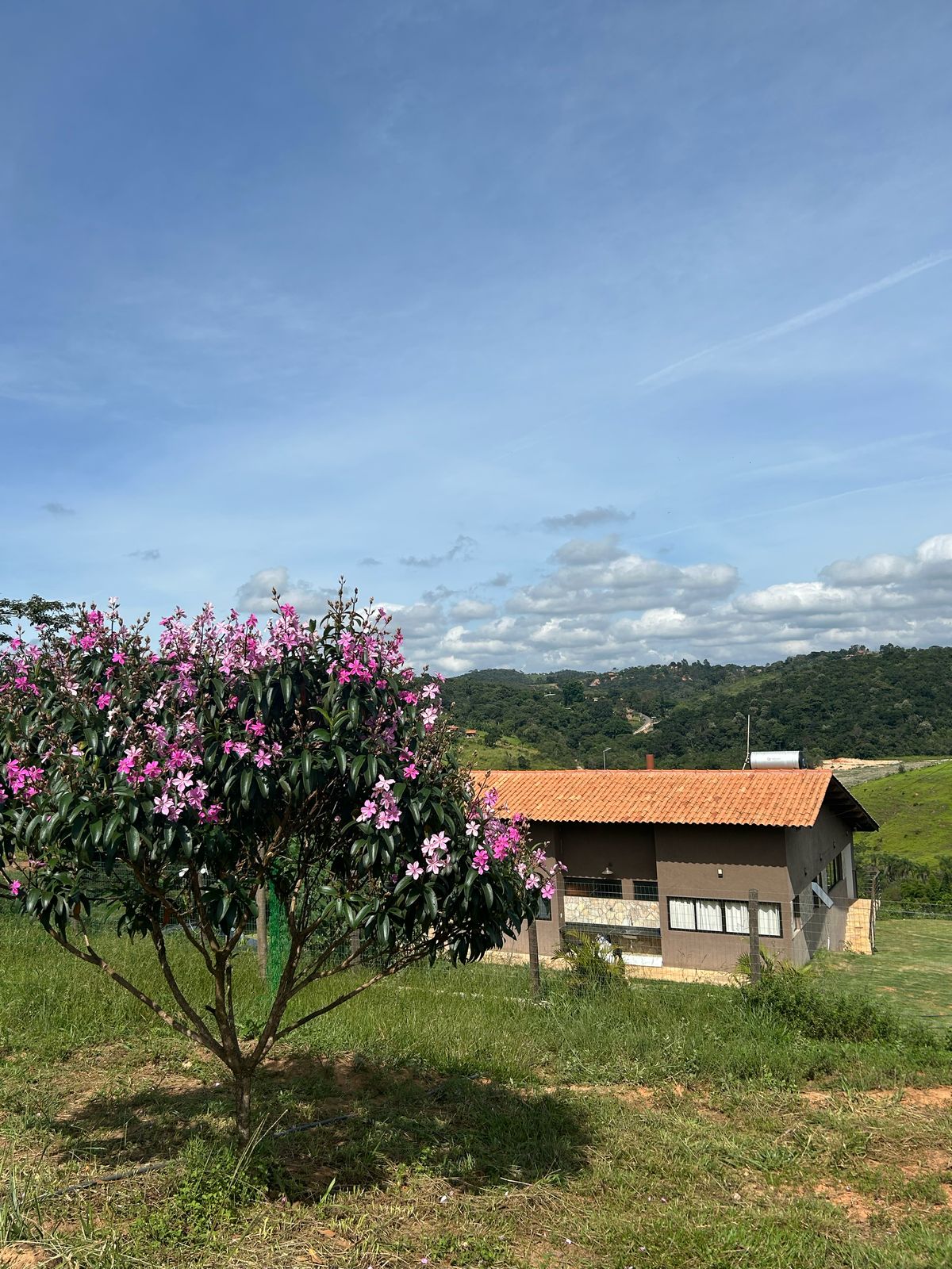 A charming house is set against a backdrop of rolling hills, with a vibrant pink flowering tree located in the foreground. The building features a tiled roof and multiple windows, allowing for ample natural light. Soft clouds are visible in the blue sky above.