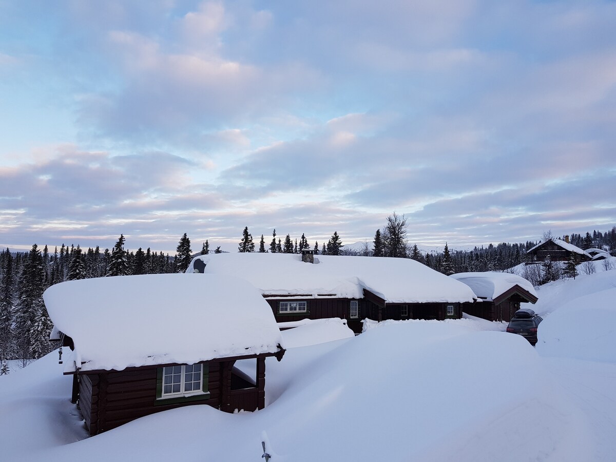 A winter landscape features a collection of traditional wooden cabins blanketed in a thick layer of snow. Tall evergreen trees are visible in the background, with a cloudy sky transitioning from blue to gray, creating a serene atmosphere.