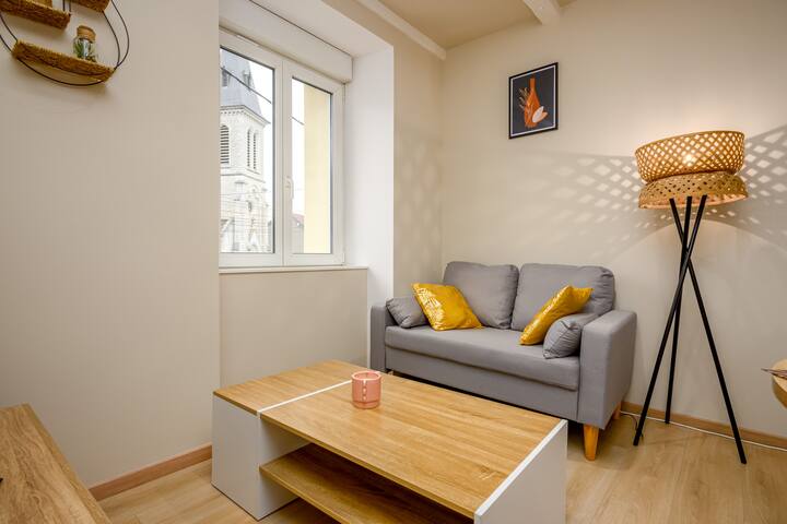 *Le 61*gregimmo*appart'hôtel - Sochaux
