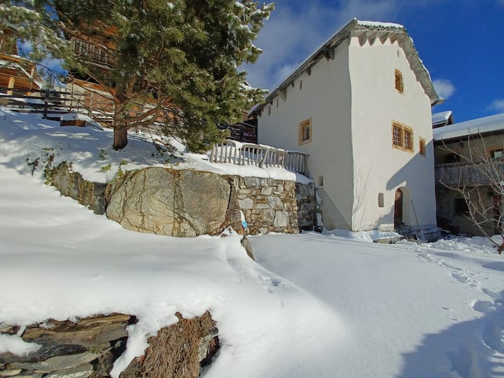 Small historic tower with idyllic garden Houses for Rent in Albinen