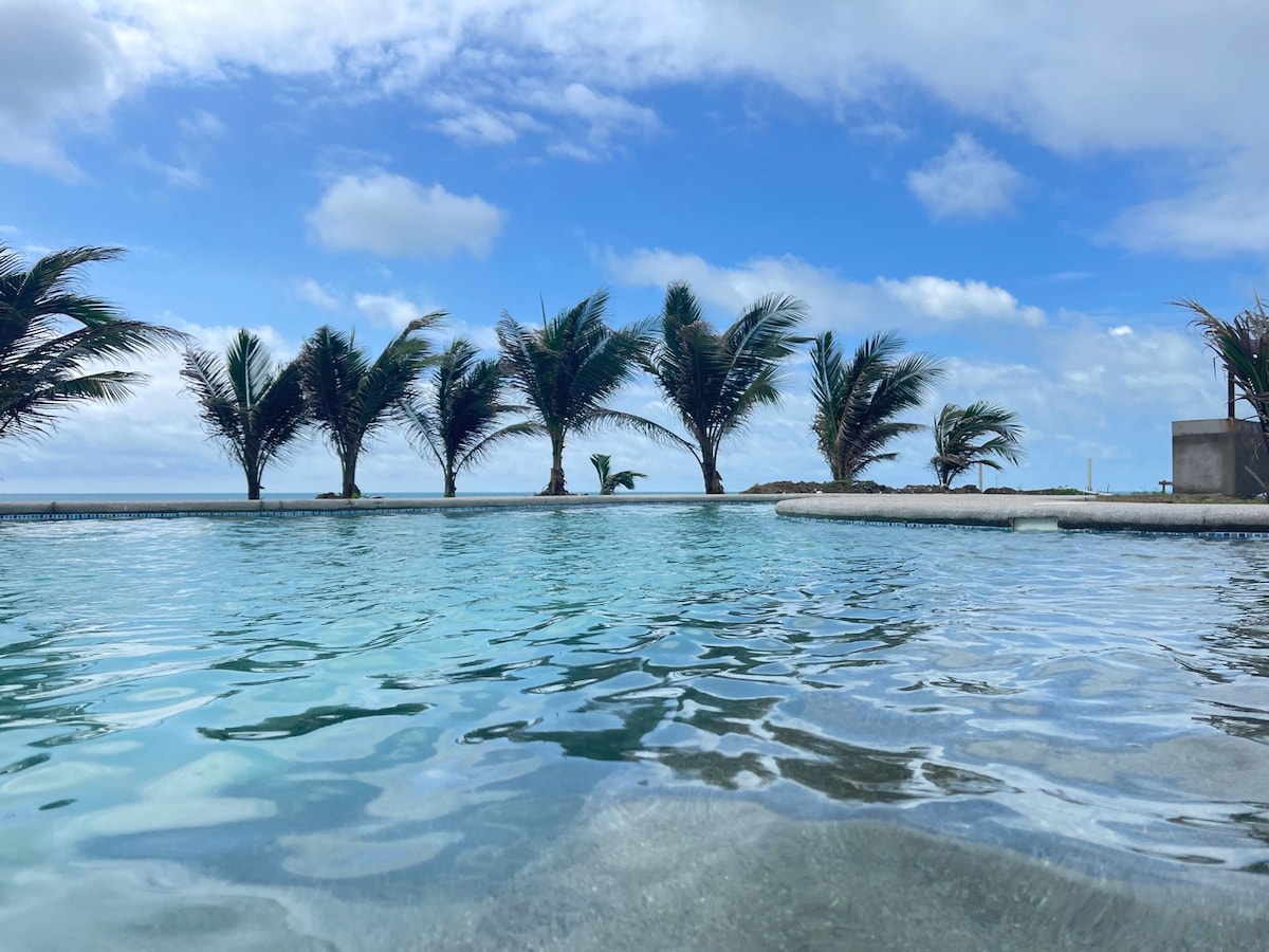 A serene infinity pool reflects the clear blue sky, surrounded by tall palm trees that sway gently in the breeze. The calming water creates a tranquil environment, with the ocean visible in the background, complementing the peaceful setting.