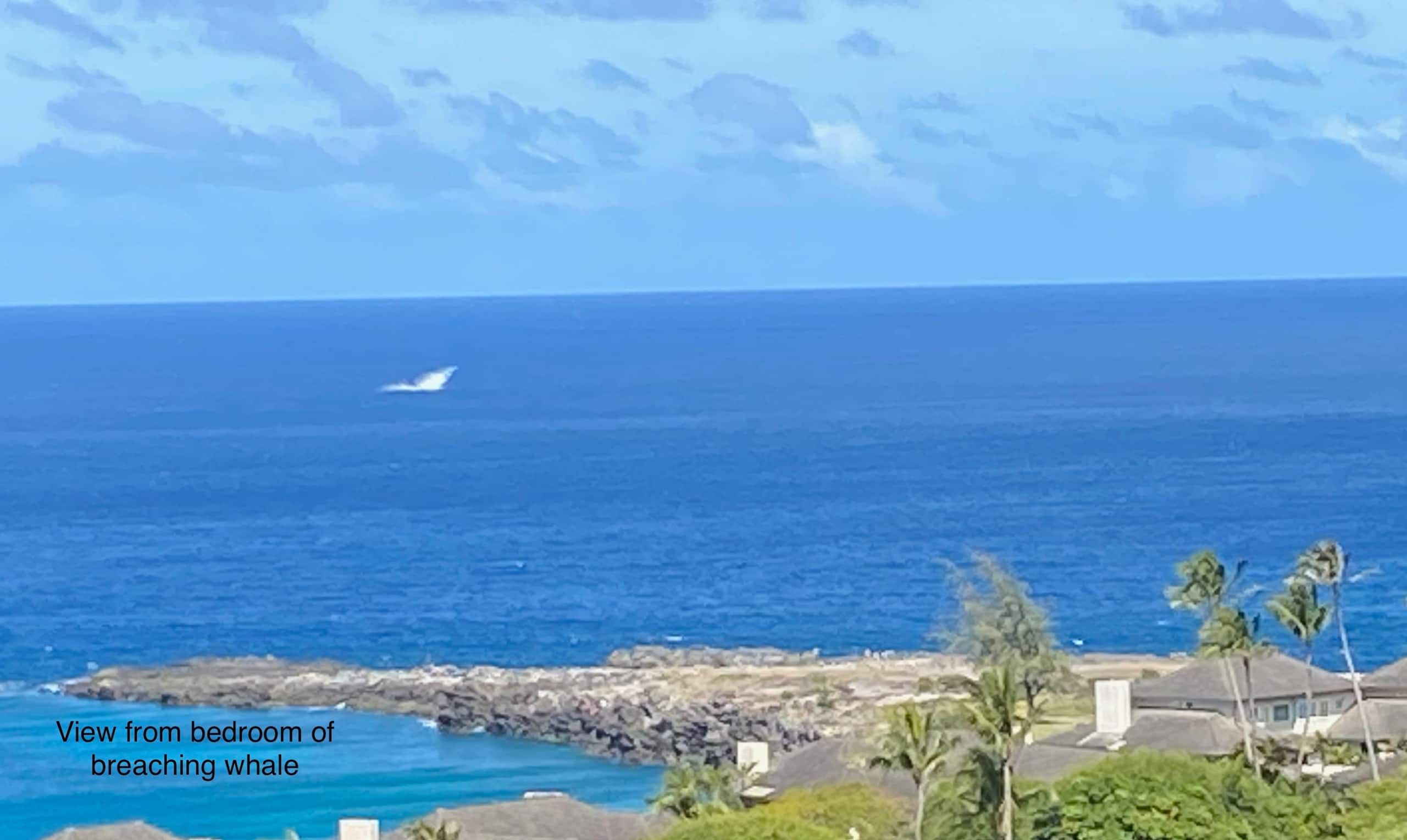 Townhouse in Kapalua · ★4.96 · 1 bedroom · 1 bed · 2 baths - Image 39