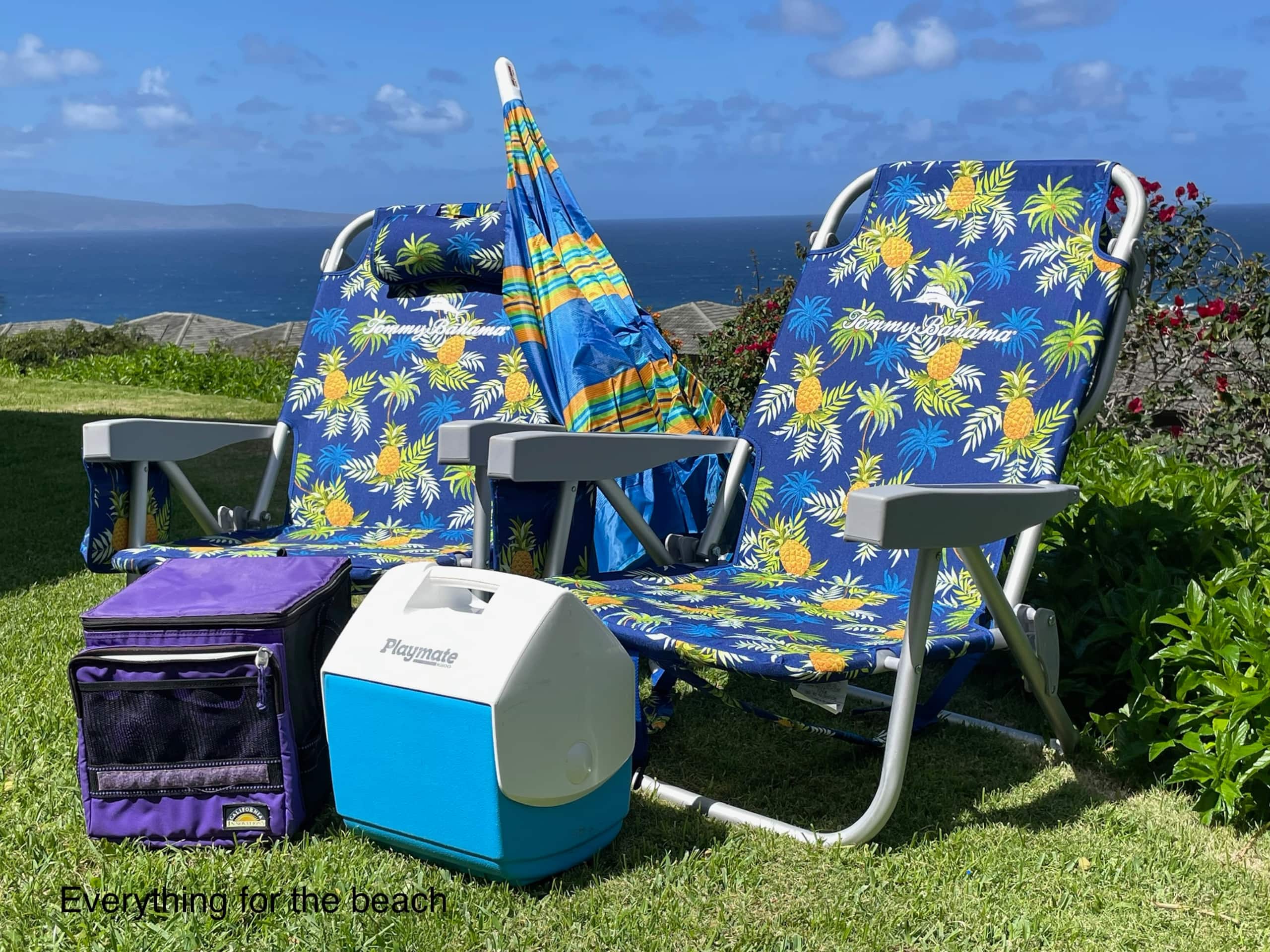 Townhouse in Kapalua · ★4.96 · 1 bedroom · 1 bed · 2 baths - Image 51