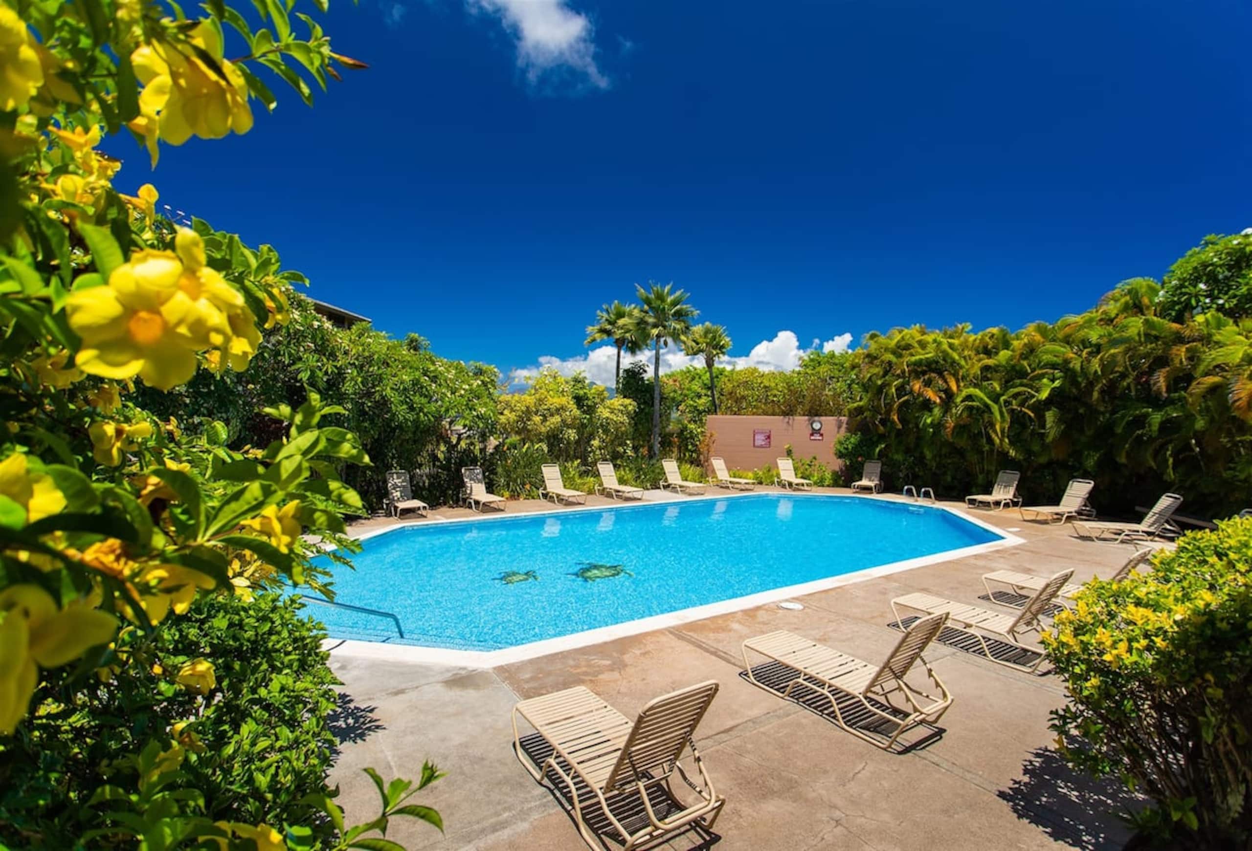 Townhouse in Kapalua · ★4.96 · 1 bedroom · 1 bed · 2 baths - Image 45