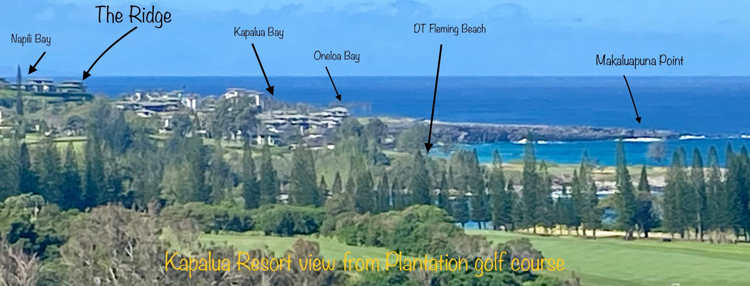 Townhouse in Kapalua · ★4.96 · 1 bedroom · 1 bed · 2 baths - Image 54