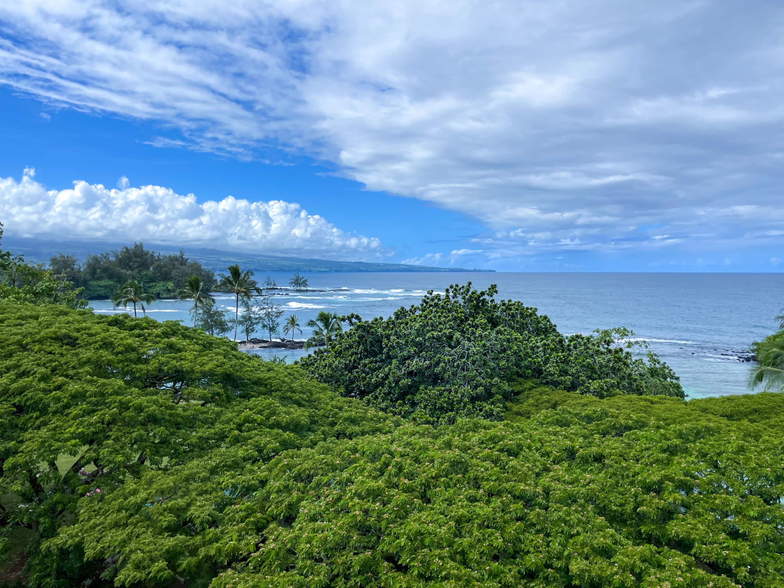 Tropical  Penthouse with Views - Mauna Loa shores - Image 13