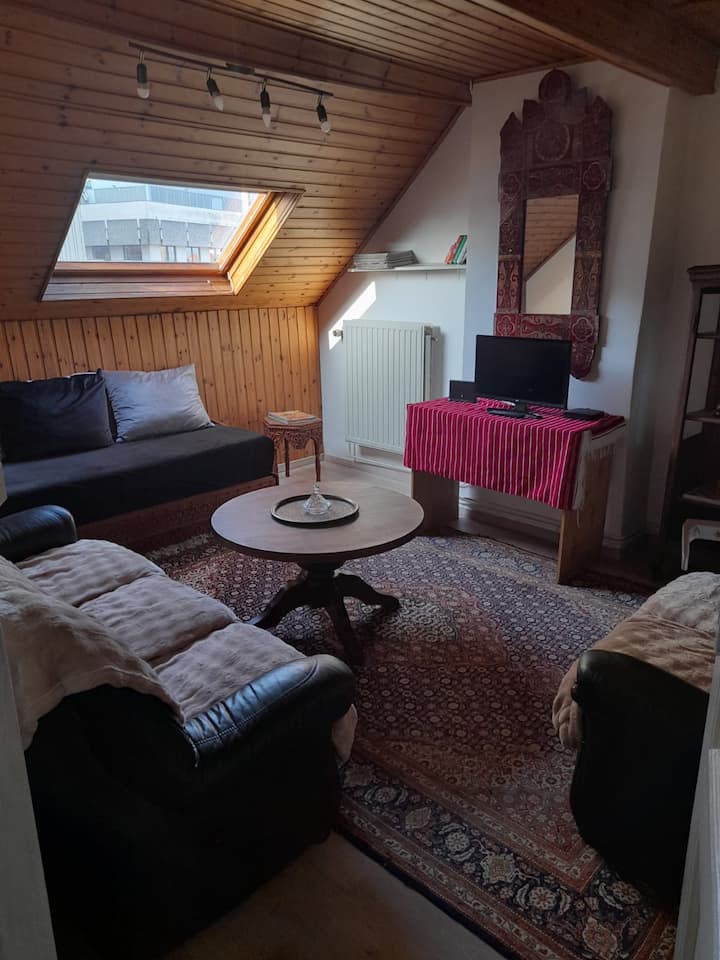 Appartement Bruxelles. Bonne Connection Transports - Schaerbeek