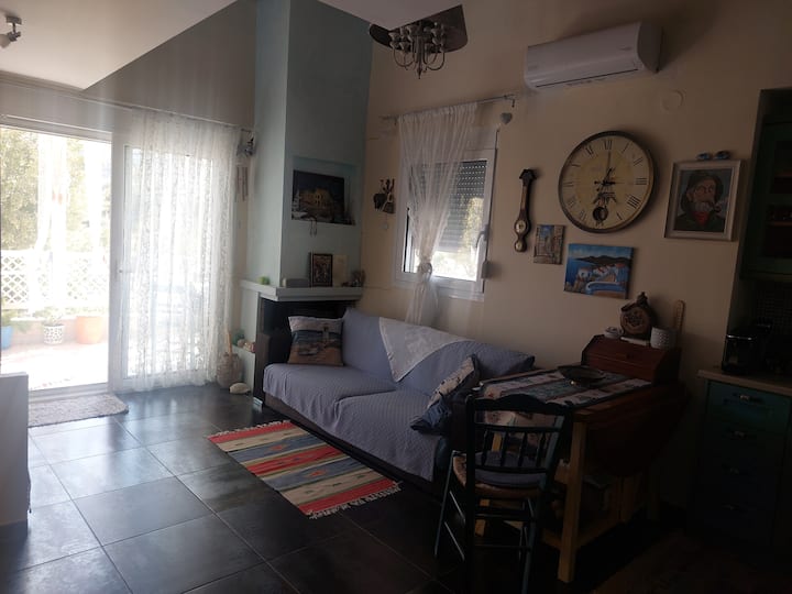 Vila Vilea - L & P - Sarti