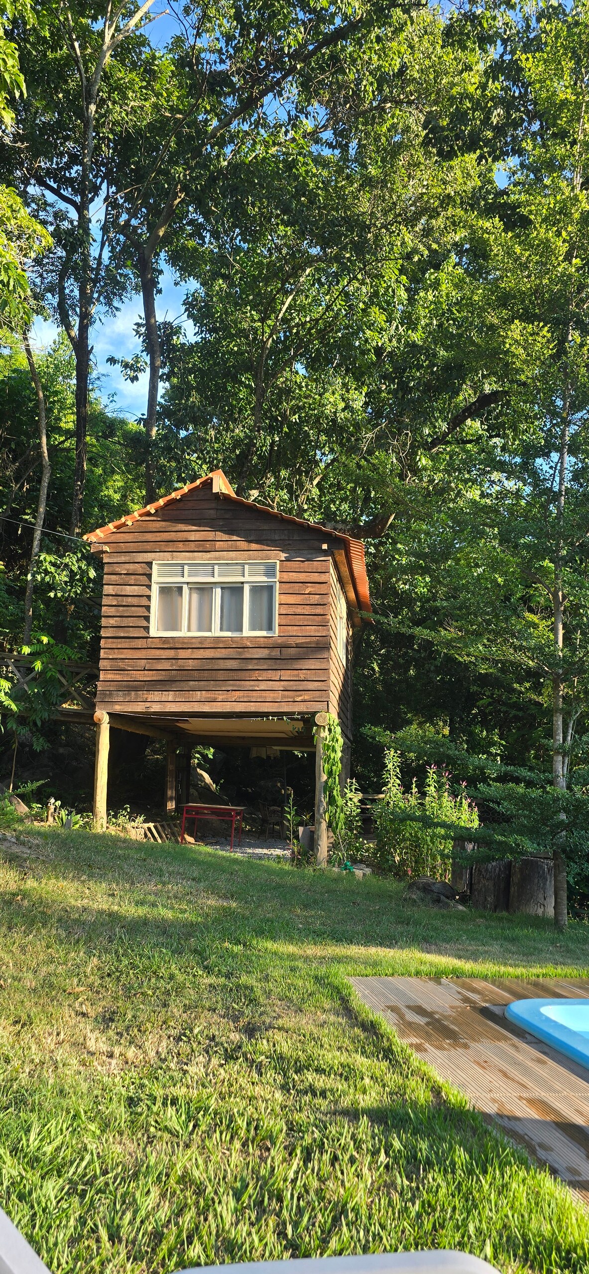 A charming tree house is situated amidst lush greenery. The wooden structure is elevated on stilts and features a small window framed by vibrant leaves. Below, a grassy area is visible alongside a wooden deck leading to a nearby pool.