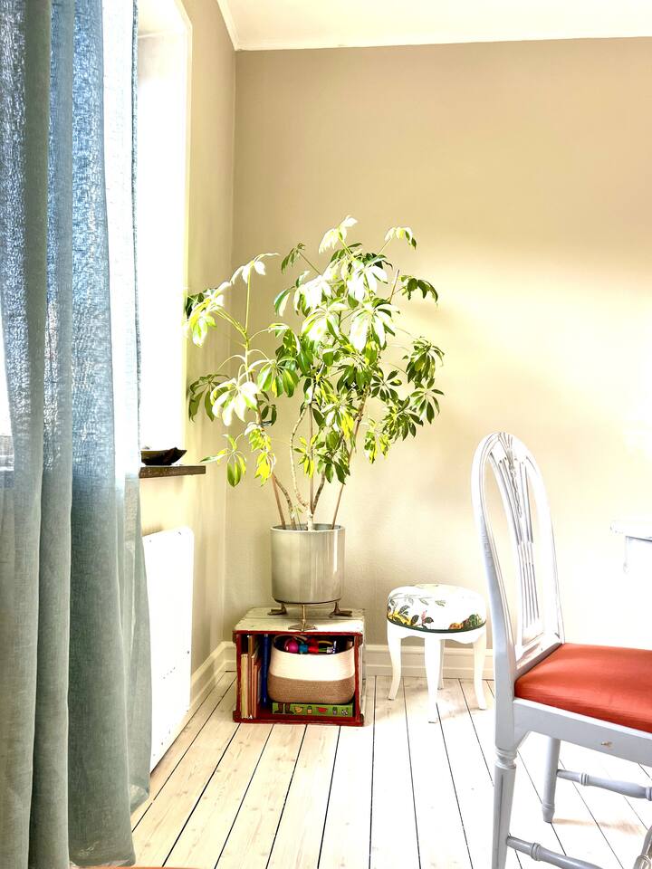 ห้องนั่งเล่น