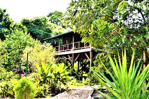 Sanpopo TreeTop Home Feels Like Your In the Jungle