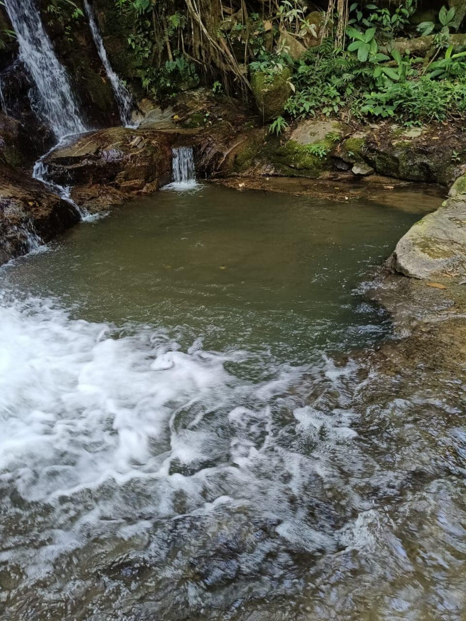 A natural pool formed by a waterfall is surrounded by lush greenery and smooth stones. The clear water creates gentle ripples as it flows into the pool, highlighting the tranquil environment. Nearby, a small stream can be seen cascading over rocks, contributing to the serene atmosphere.