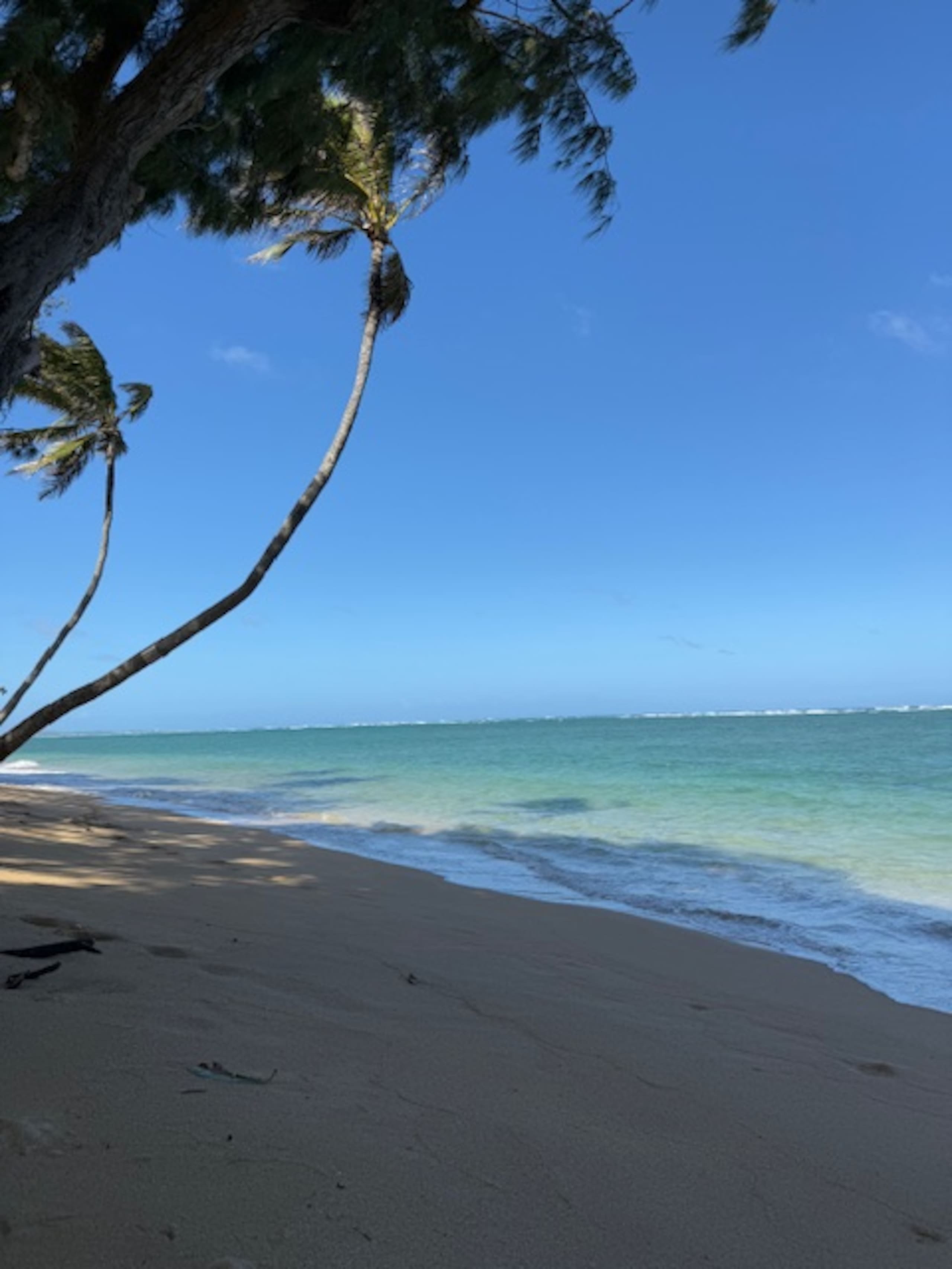 Cozy Hauula Studio Getaway! - Image 15
