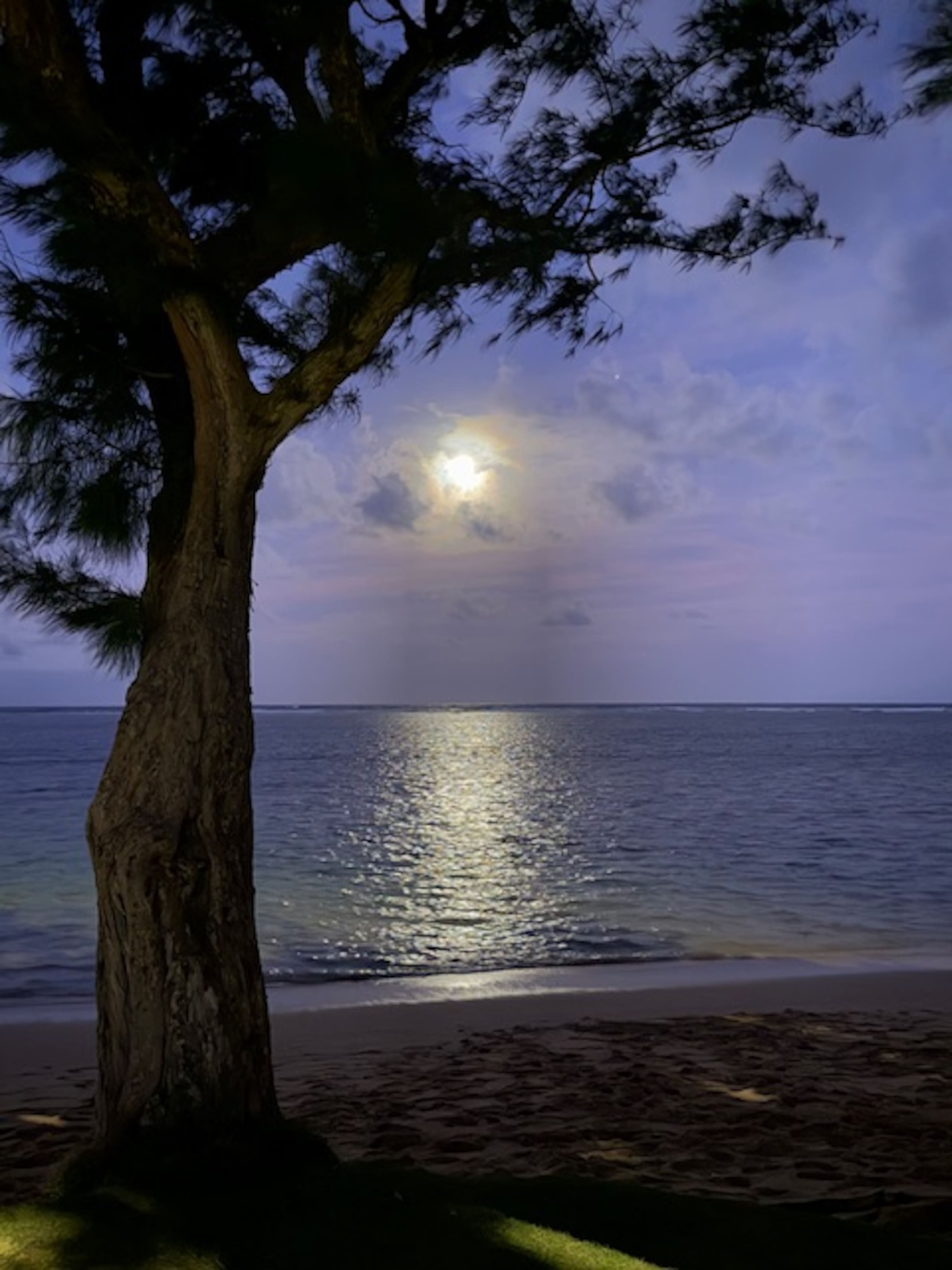 Cozy Hauula Studio Getaway! - Image 14