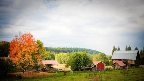 Historic Farmstead-Lake, Hot Tub & Near Silverwood