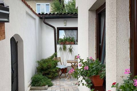 Apartment Ajna, perfect location+parking!