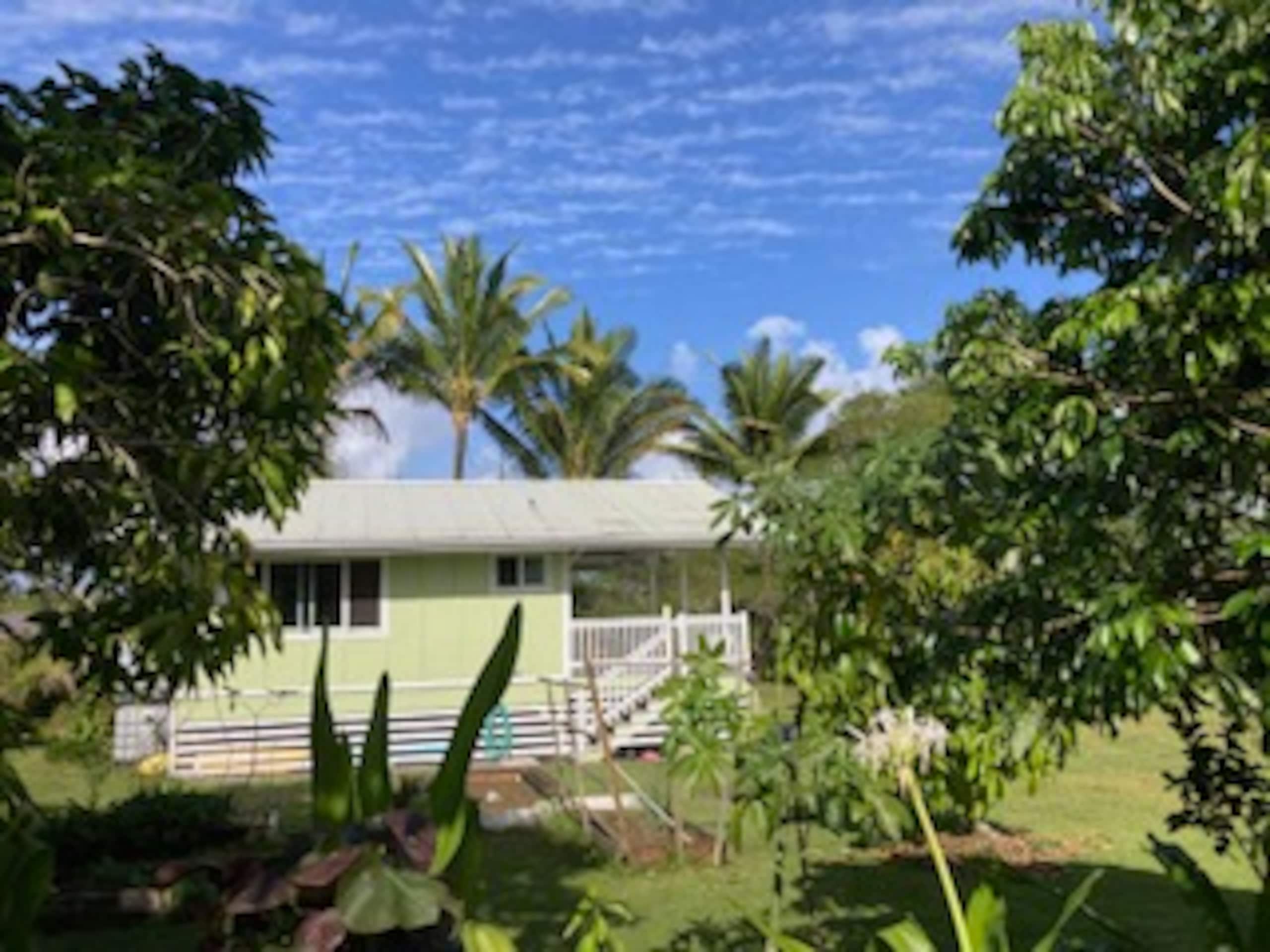 Cabin in Keaau · ★4.92 · 1 bedroom · 2 beds · 1 private bath - Image 5