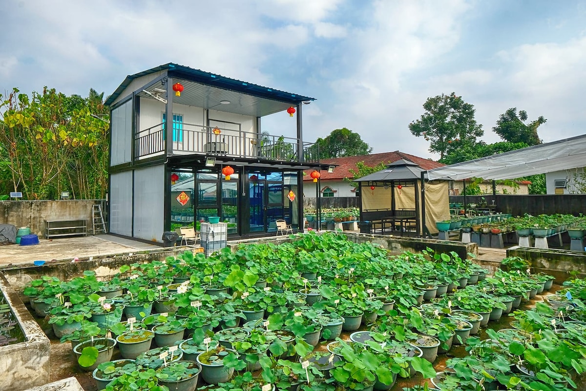 A multi-level building is surrounded by numerous lotus plants in large pots, creating a serene green environment. Lanterns adorn the exterior, enhancing the traditional aesthetic. The sky is partly cloudy, providing a soft light to the scene.