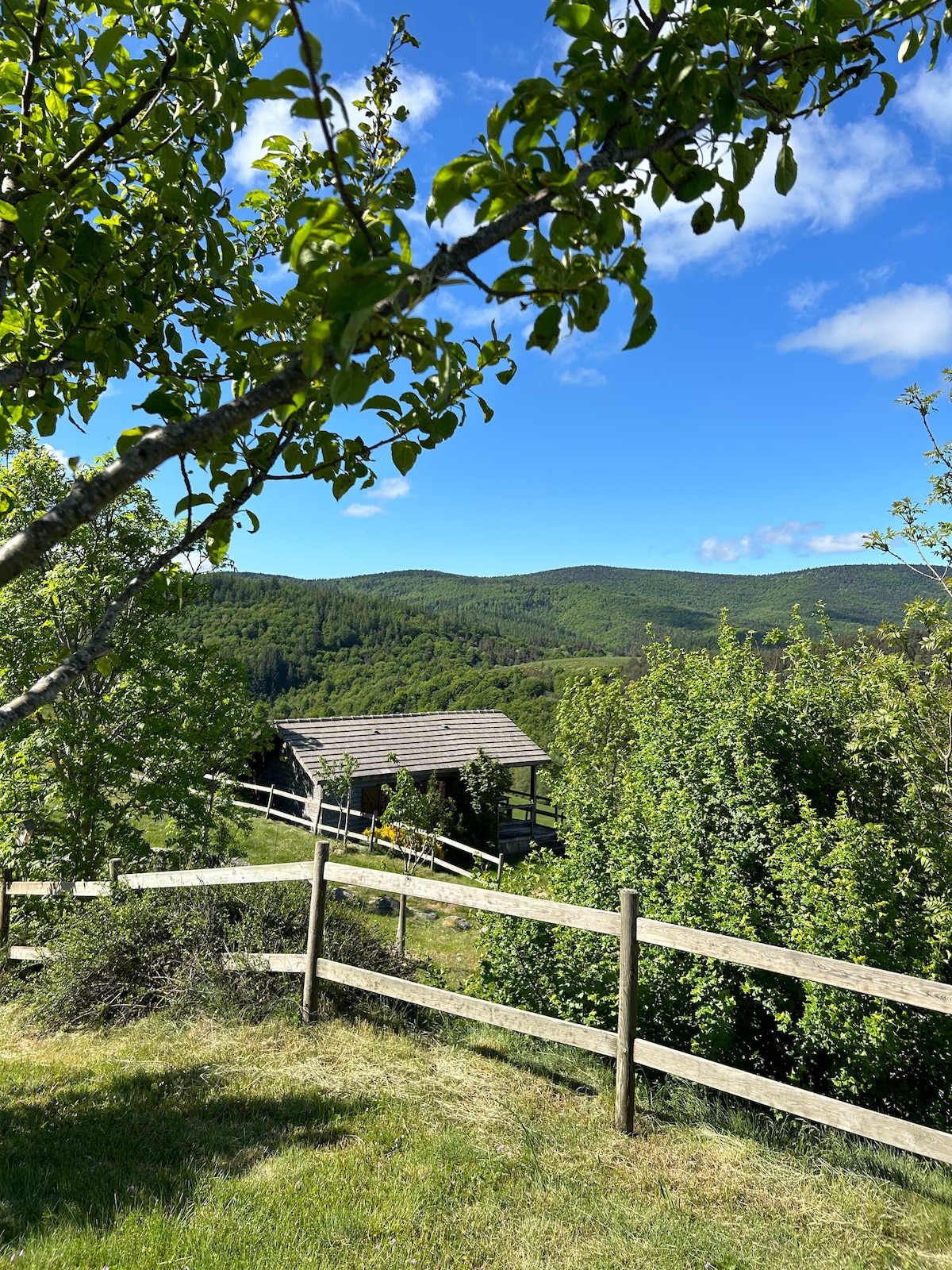 A serene view of the surrounding landscape is framed by green trees and a wooden fence. The distant mountains are visible against a clear blue sky, creating a tranquil backdrop for the rustic chalet nestled among lush greenery.