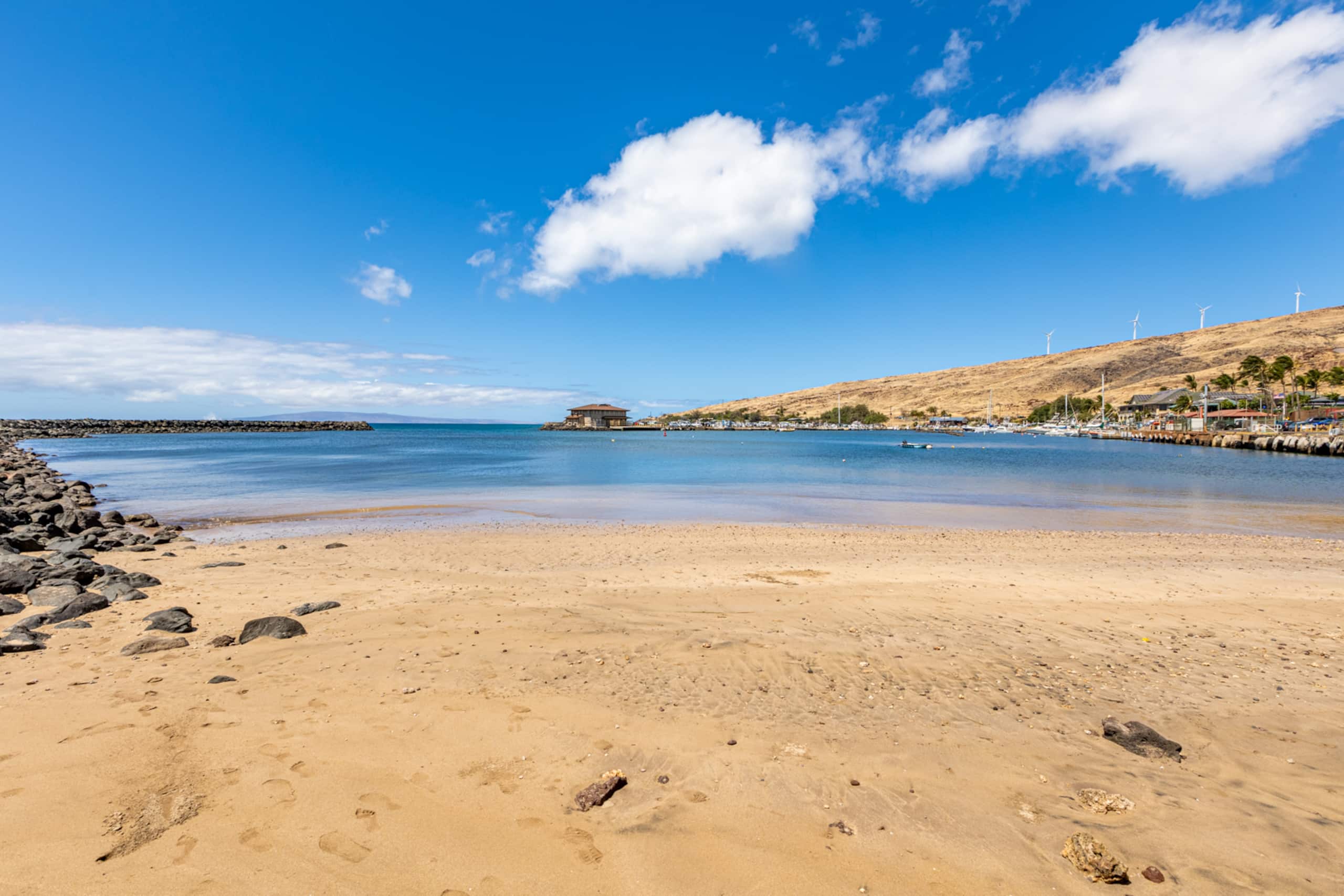 Condo in Wailuku · ★4.91 · 1 bedroom · 1 bed · 1 bath - Image 30