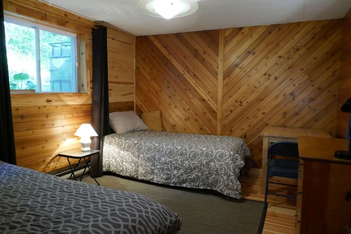 Room n° 5 with 2 single beds on the ground floor