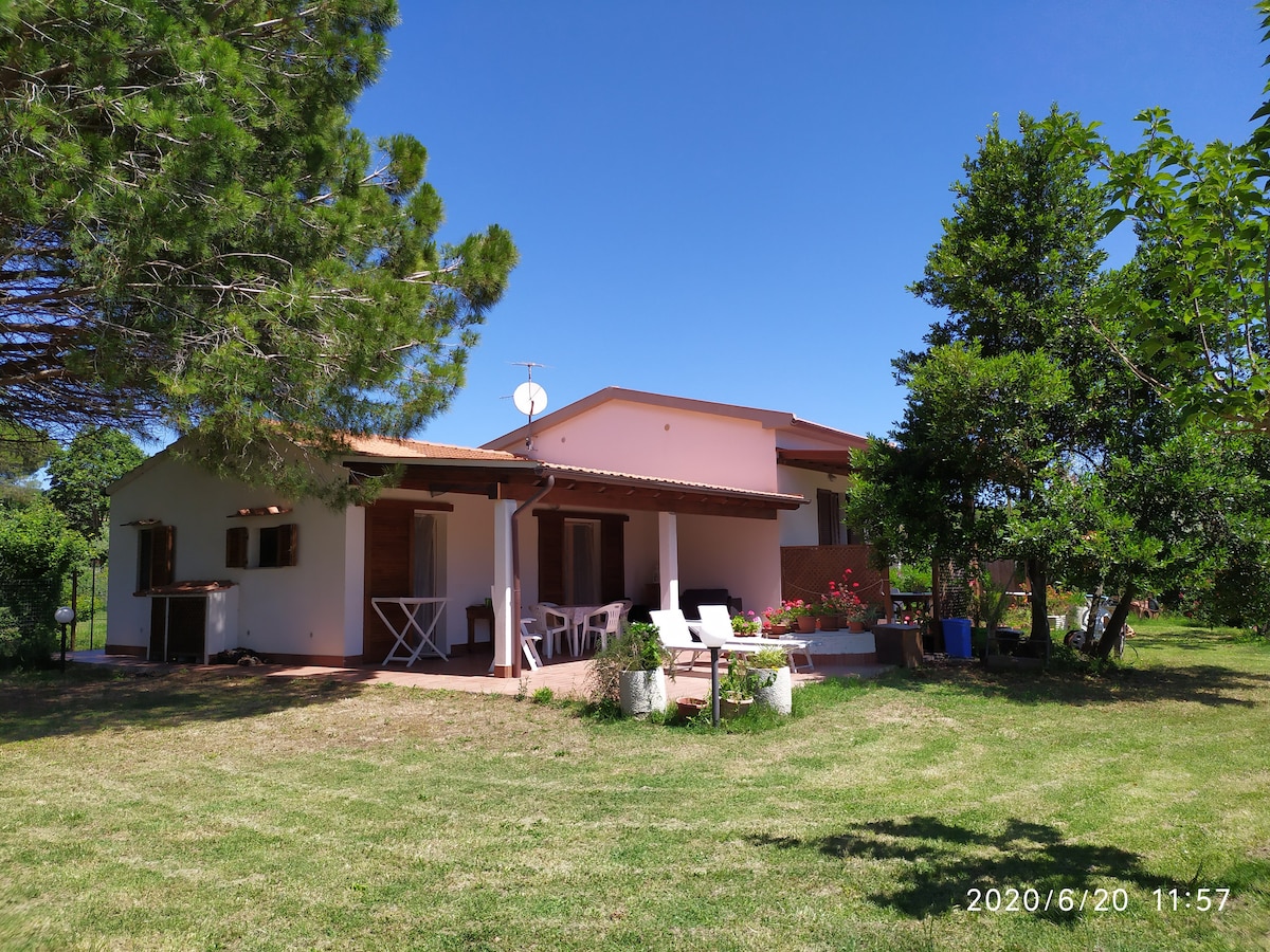 A single-story duplex structure is presented, featuring a covered terrace with outdoor seating. Surrounding greenery includes trees and manicured grass, which enhance the peaceful setting. A clear blue sky is visible above, contributing to a sense of openness.