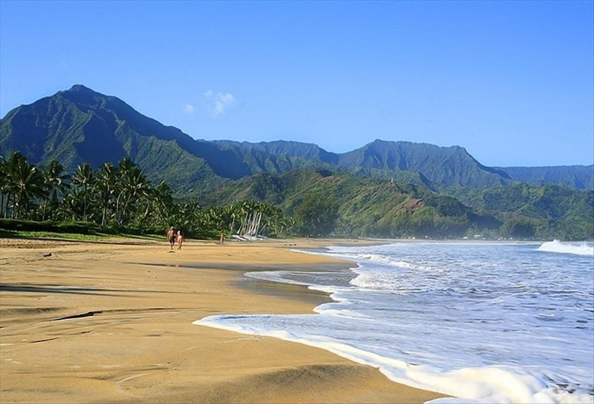 A scenic beach scene is captured, featuring a stretch of golden sand bordered by gentle waves. Lush green mountains rise in the background, with palm trees lining the shore. Two figures are walking along the water's edge, enjoying the serene environment and clear blue sky.