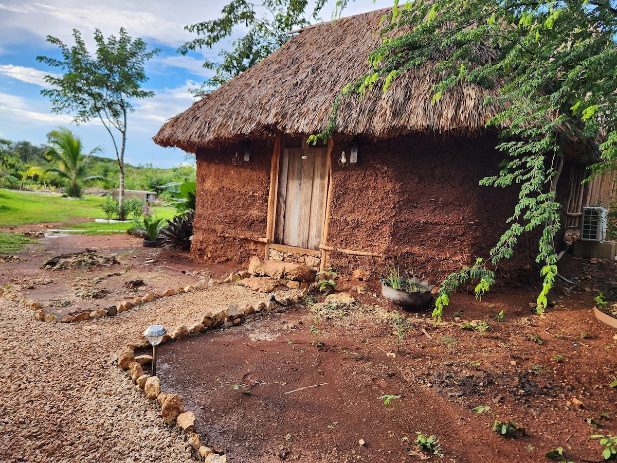 A traditional Maya house features a natural mud exterior and a thatched roof. The entrance is framed by wooden doors, surrounded by a clear pathway leading to a lush green landscape with various plants and trees, enhancing the tranquil outdoor setting.