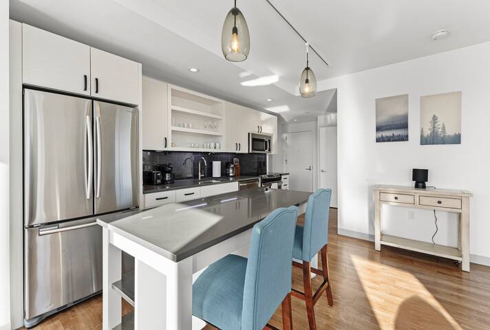 Luxury corner 2BR 2BA Boston Jamica pond Hospitals gallery image 5